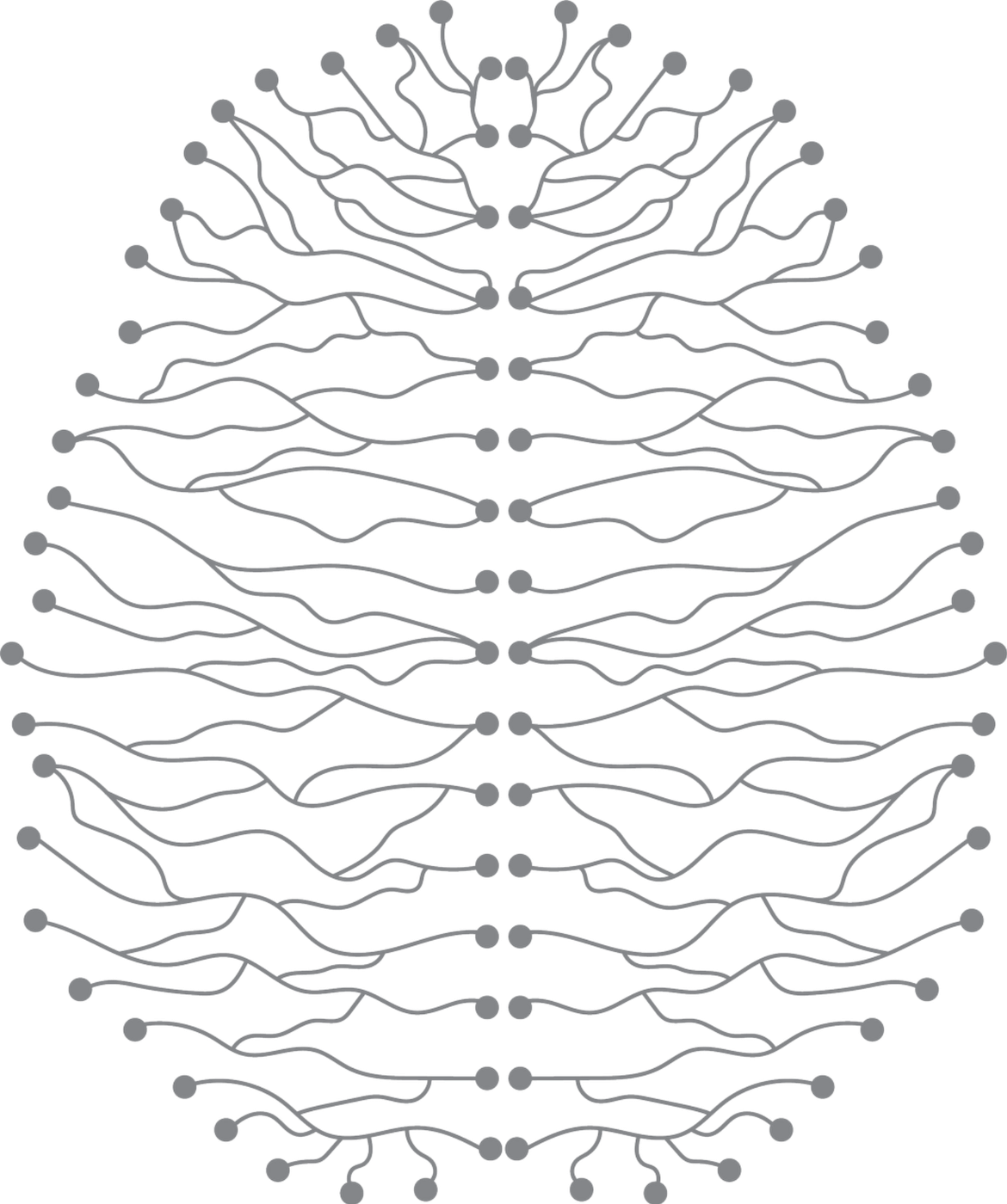Brain regions affected by TMS